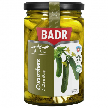 خیارشور ممتاز بدر 630 گرمی